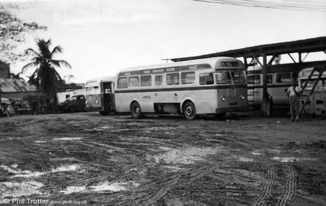 Jamaica Omni Bus